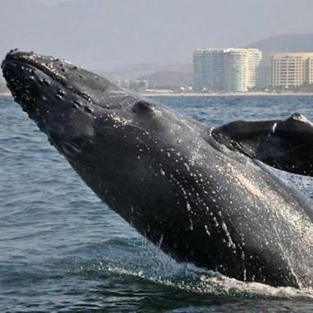Lovely 3 Bedroom Condo With Pool Ixtapa  Exterior foto