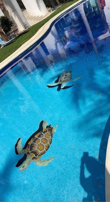 Lovely 3 Bedroom Condo With Pool Ixtapa  Exterior foto